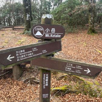 小岳まで足を伸ばしました。
ピストンで分岐まで戻ります