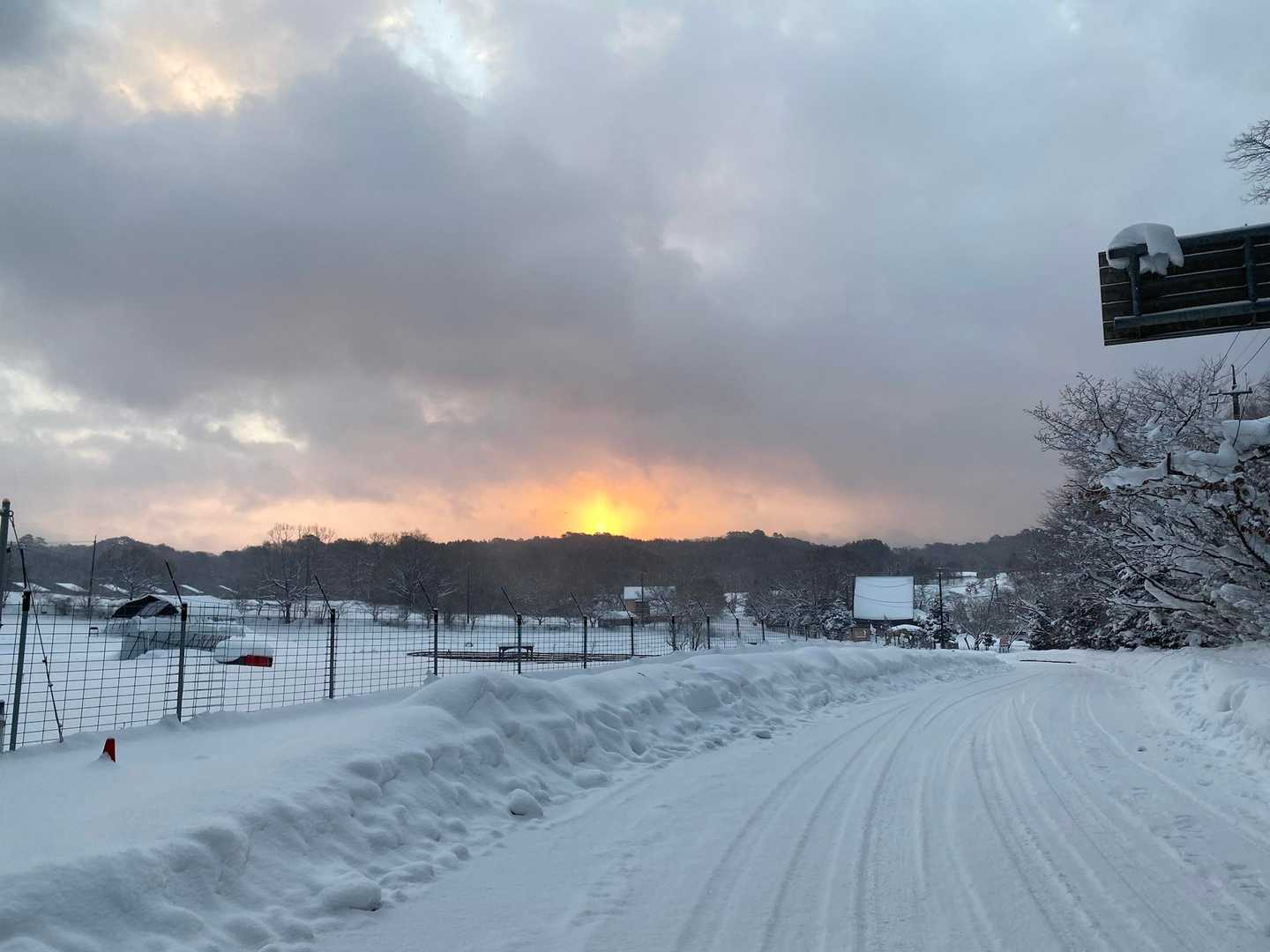 日が昇ってきました🌅