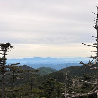 大阪の町、大阪湾、淡路島まで見えたよ