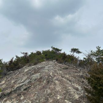 ちっさい紅山みたいな