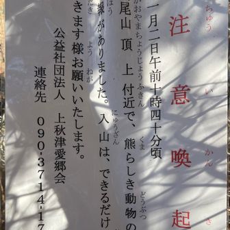 🐻熊さん情報が！
ほんまなん😰