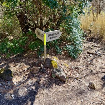 なので、ここは左。