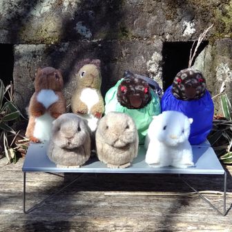 頂上で記念写真