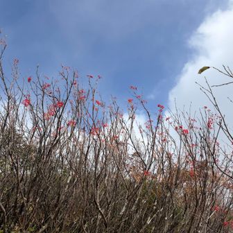 一瞬青空