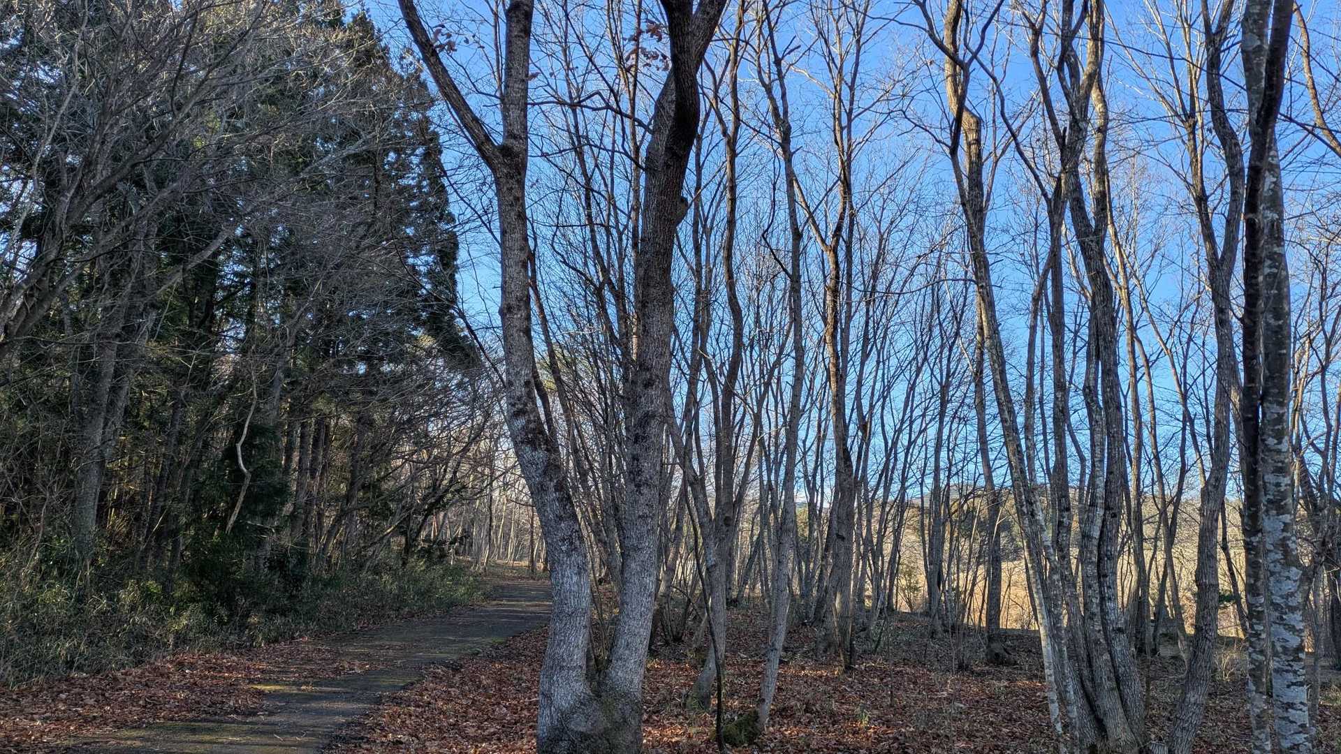雰囲気イイネ👍