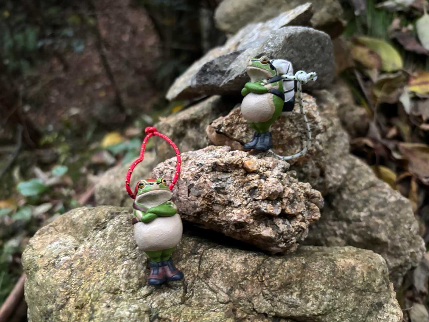 野々瀬下登山口-笠松山-笠松山登山口 周回コースの写真