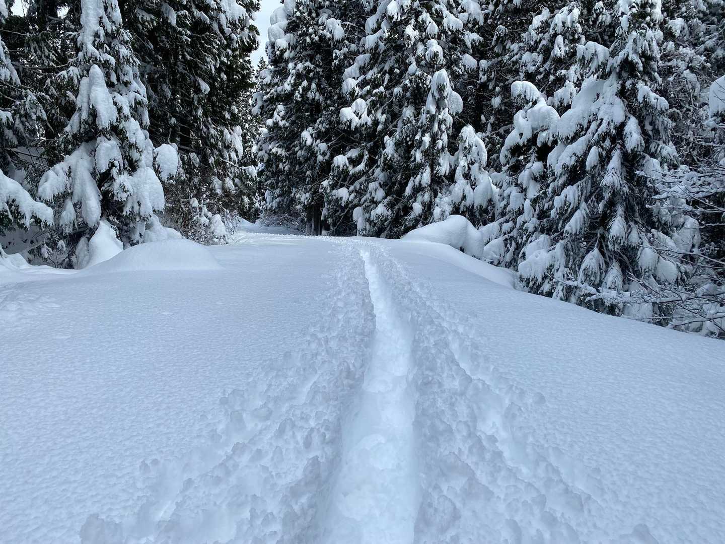 後ろを振り返って　6人で歩くと流石に高速道路🚗みたいになるよね