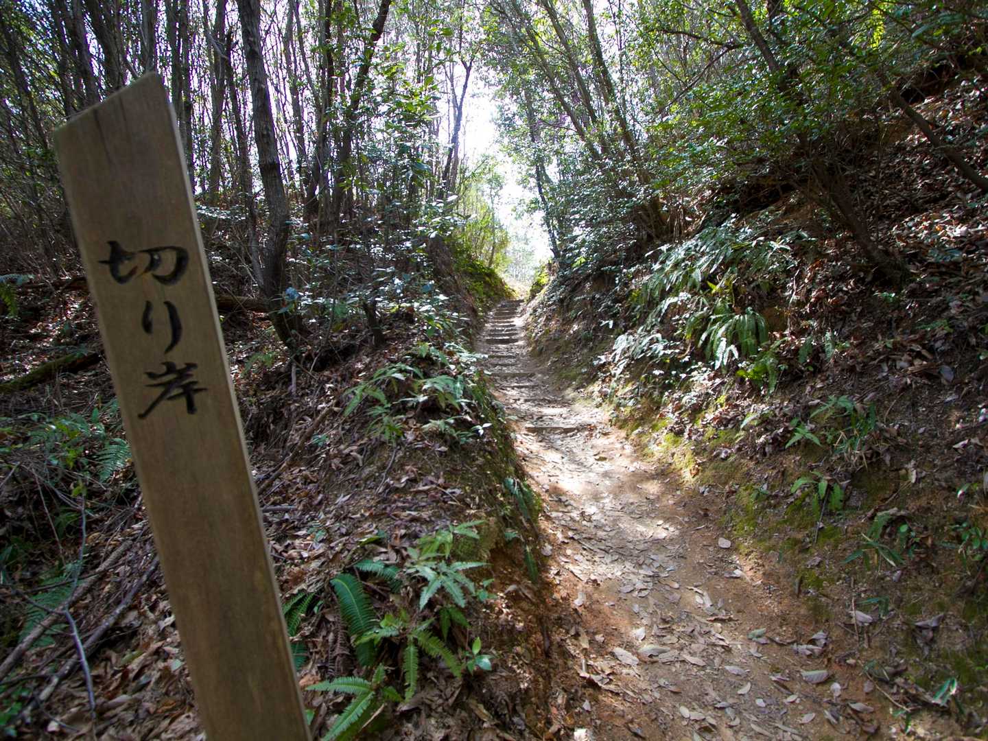 城跡なので、いろんな名残があります。