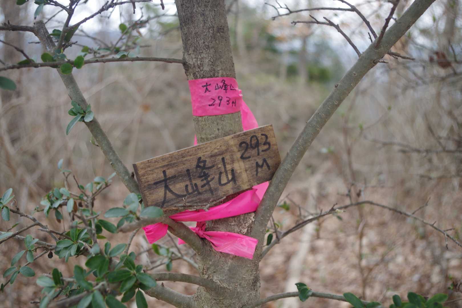 大峰山山頂。展望は…。、