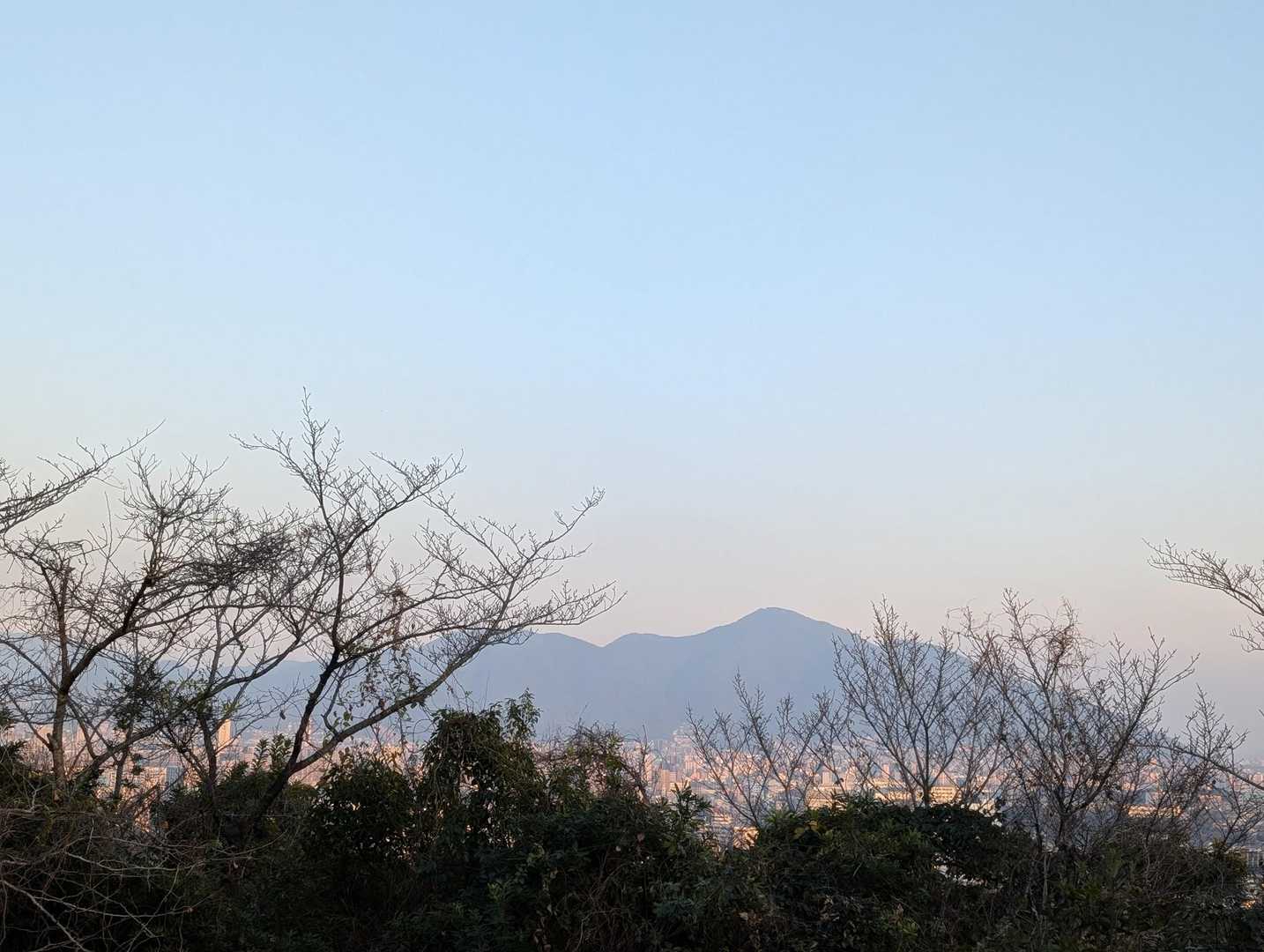 金比羅山 往復コースの写真