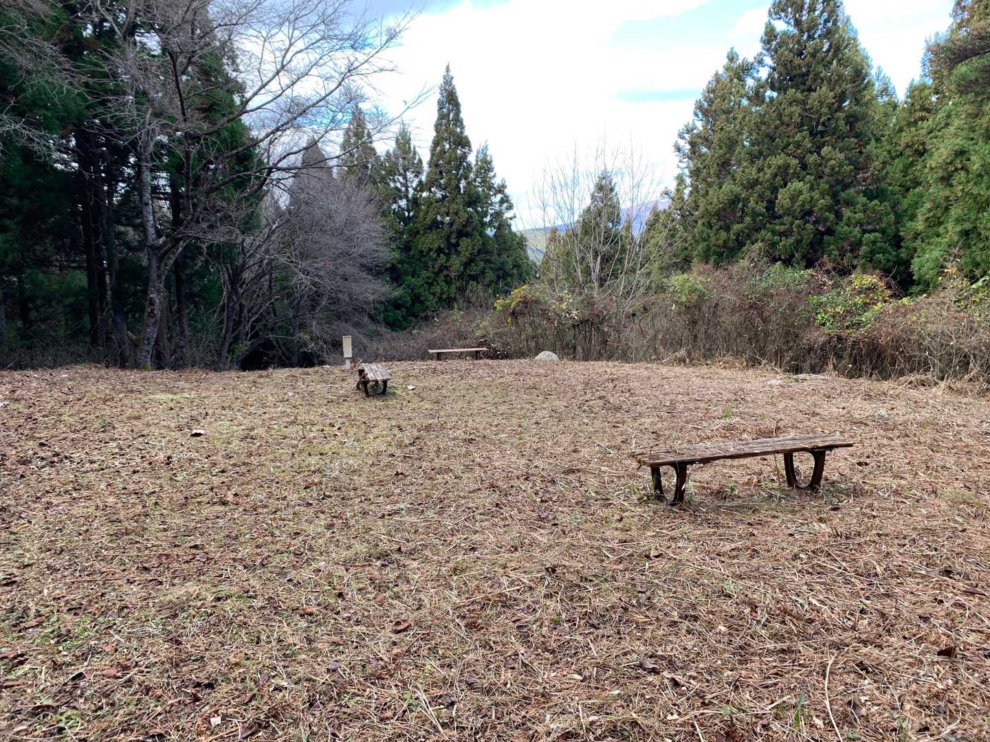 山頂広場
ベンチぼろぼろ
