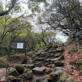 山道秋の気配🍁🍂