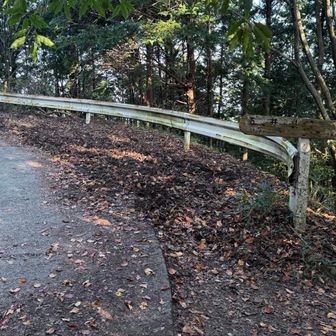 作業道に出ましたぁ､､､､