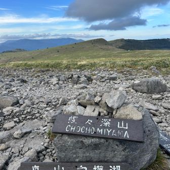 蝶々深山に🚶