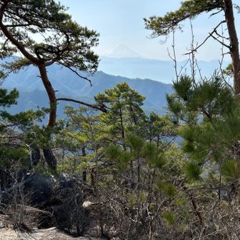 奥にうっすら富士🗻