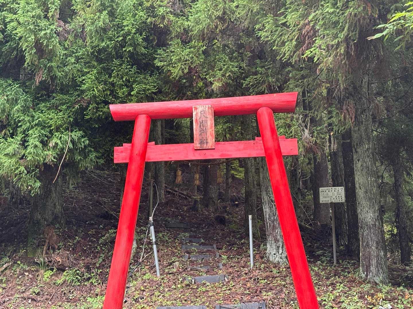 尺間神社へ戻ってきた⛩
下山ルートはおすすめしません😅