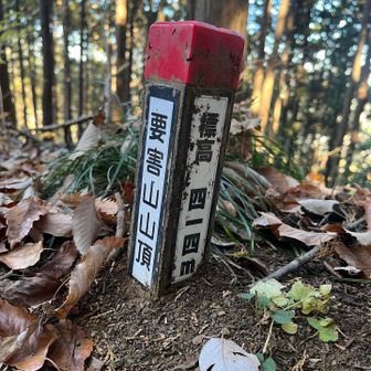 よくある石でできた頂上掲示ではなく、こんなささやかなもの！