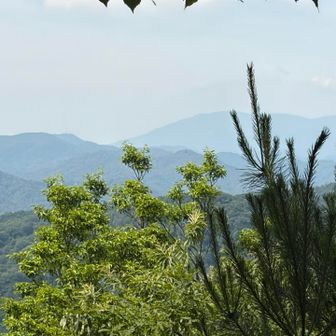 松子山からの眺望
