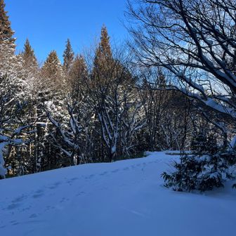 ひたすらSnow hike❄️