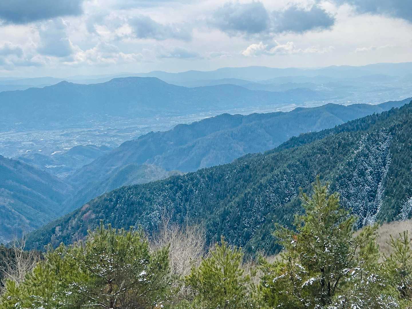 山のおもてなし｜和泉葛城山から犬鳴山へ紀泉高原縦走の写真