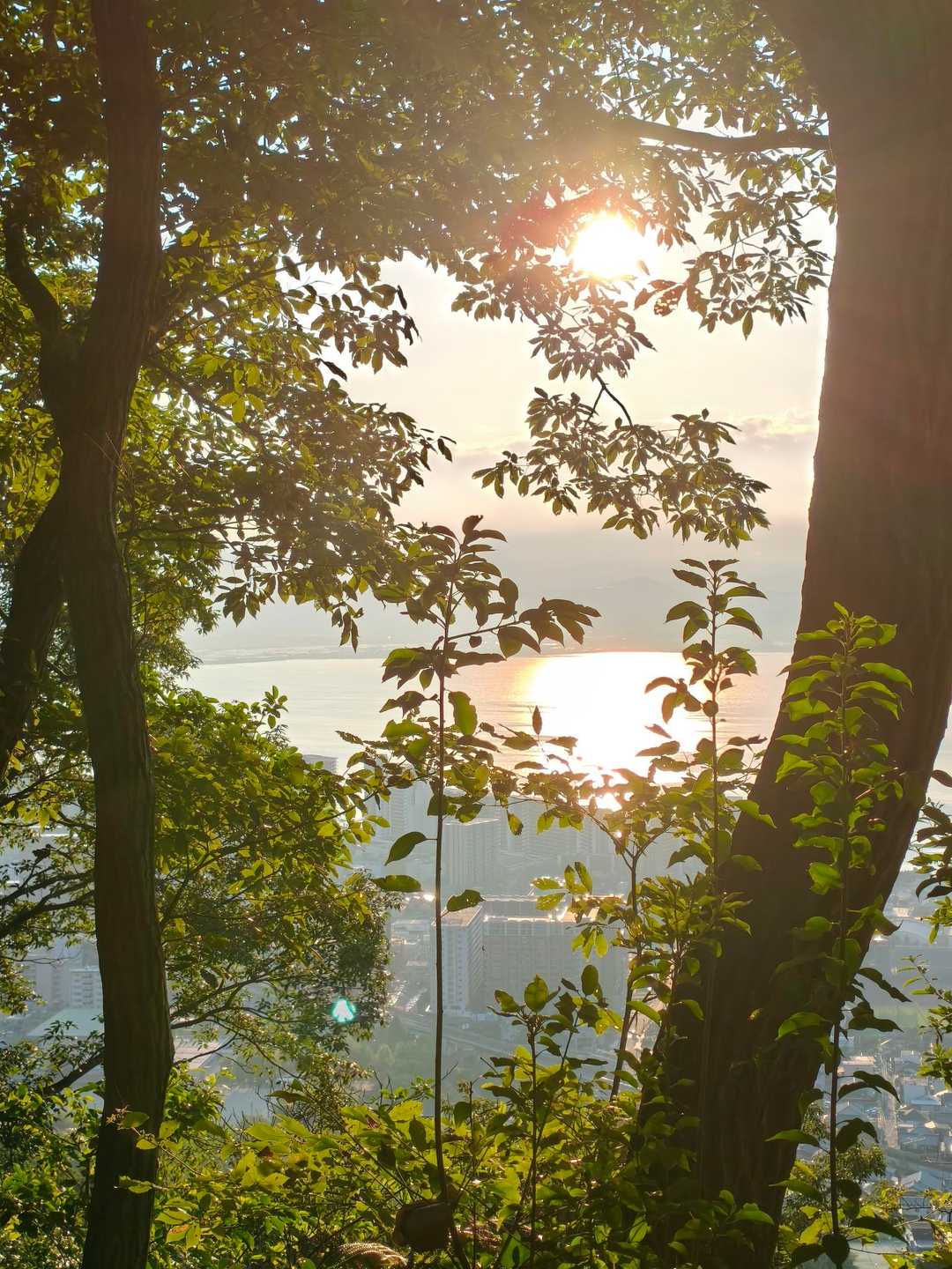 何時もの眺望スポットからの朝日🌅