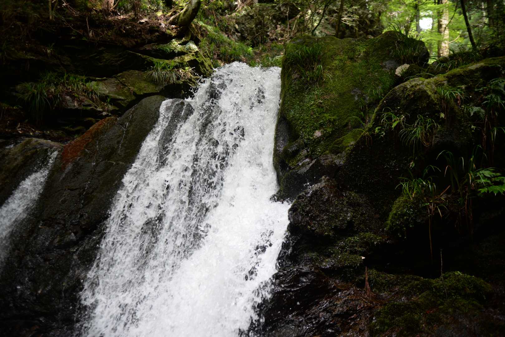里美富士登山口・薄葉沢の滝入口-おしゃべり地蔵-妙見山 往復コースの写真
