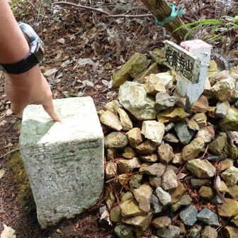 二等三角点「安養寺山」、標高は234.0m。久々（５年ぶり）に来ました。