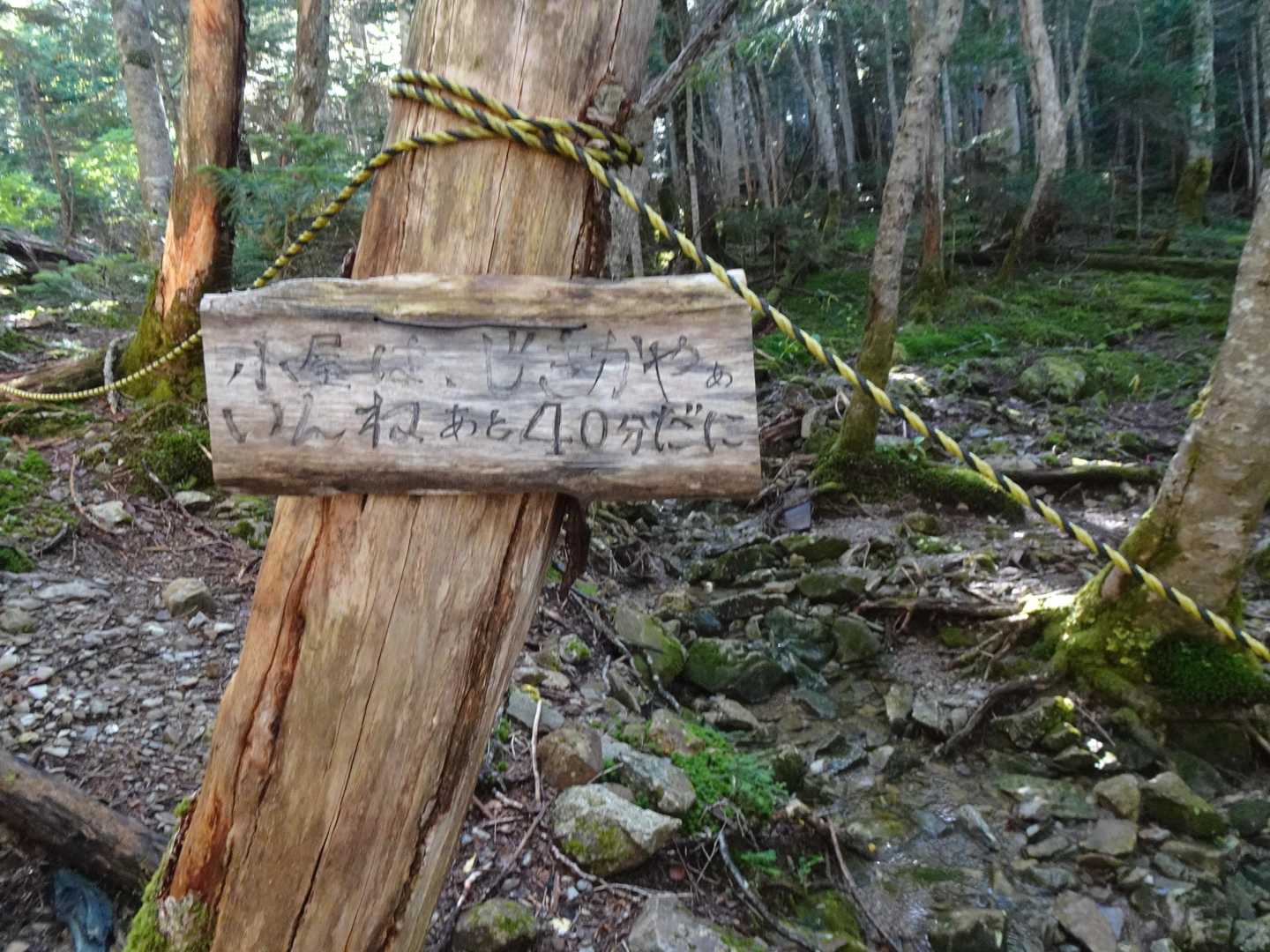 水場の記載はありませんが、沢アリ
これも南アルプスの天然水で合ってます！？🙄