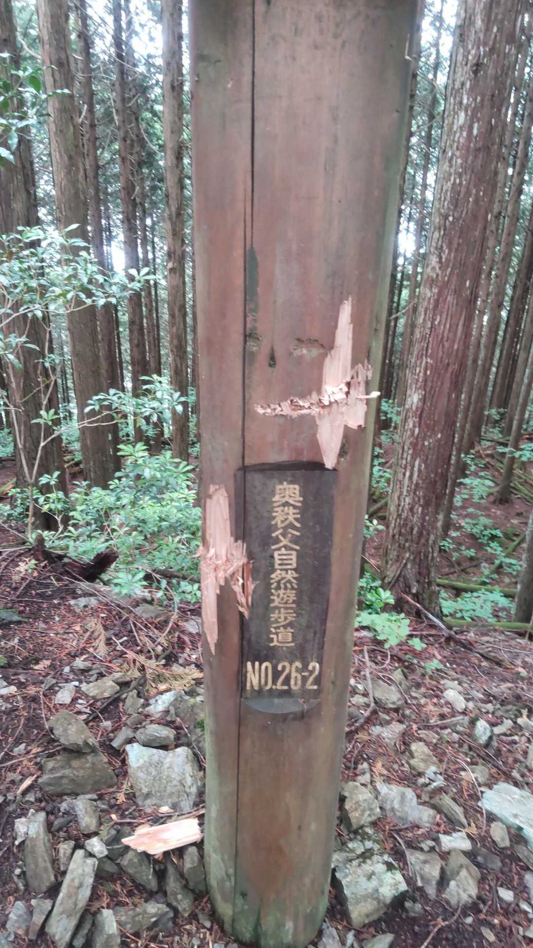 えっ、誰がやったの？