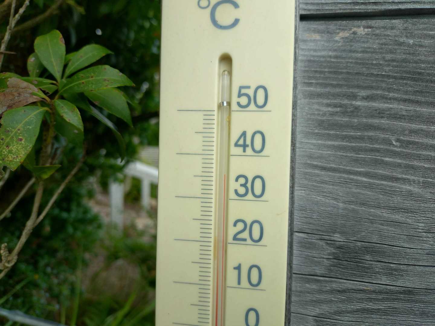 36℃？😱