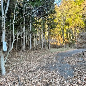 来る人が少なくて日記もとても少ない
今年まだ10件ほど😆
気軽に来ない方が良いですよ(めちゃくちゃ難しい訳じゃないけど)