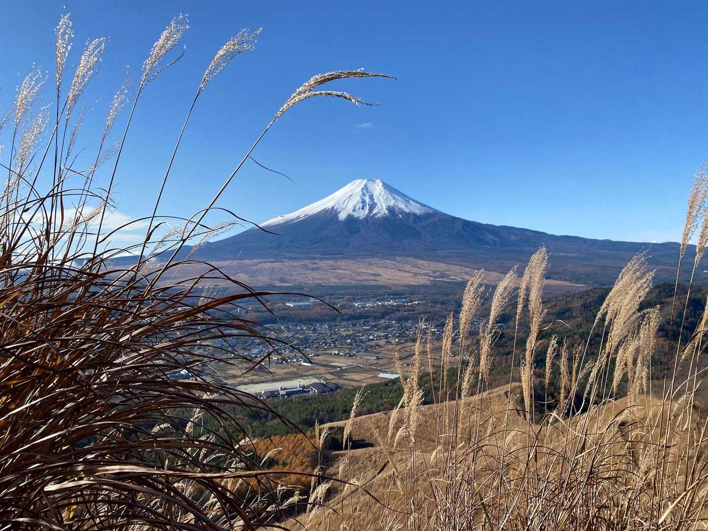 不動湯～鳥居地峠～高座山～杓子山～不動湯の写真
