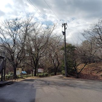 春は桜の名所らしい
今日は寂しいけど、20人ちょっとはいたかな？