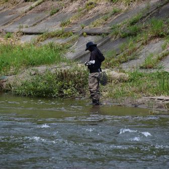 ２つ目を目指しさっさと下山
アユ釣り解禁されてますね