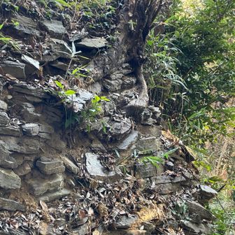 このような感じらしいのですが、きれいに積まれたものは埋め戻され見ることは出来ません。「緑泥石片岩」という、板碑に使われる岩で地元の石が使われているようです