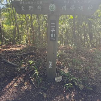 二子山
