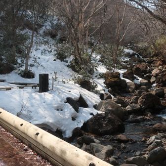雪が解け、ベンチも出てきた