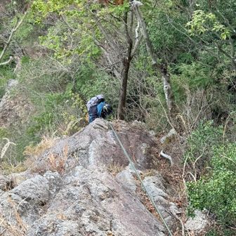 大ジェードルからの脱出がなかなか難しかった
お互い確保したまま下降

こういうとこ登るのは簡単やけど降りるのはめっちゃ怖いんよね
