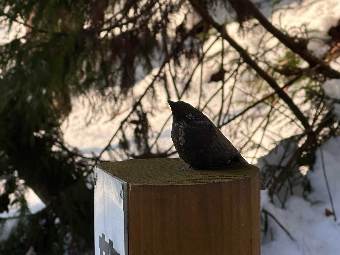 標識の上に鳥の彫刻が。