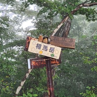相馬岳山頂
標識の上に何かが乗っている事に、この時は気付きませんでした。