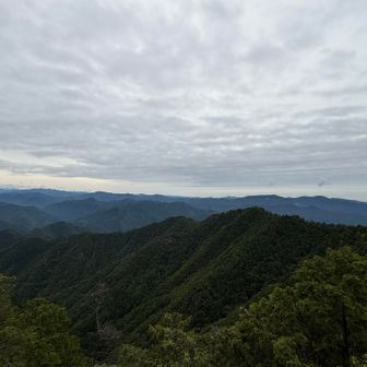 曇りの景色