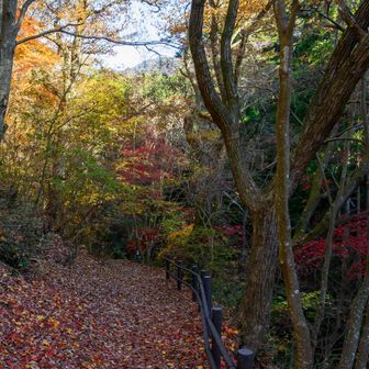 とてもカラフルで美しい道です。