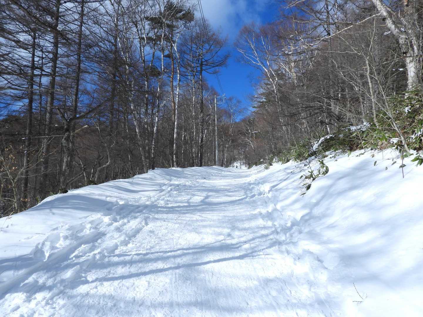 素晴らしい雪質❄
流石に音が違う💯