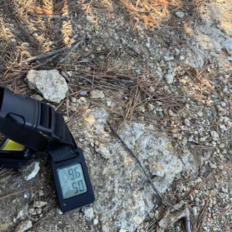 風が吹いてないので体感はもっと温い