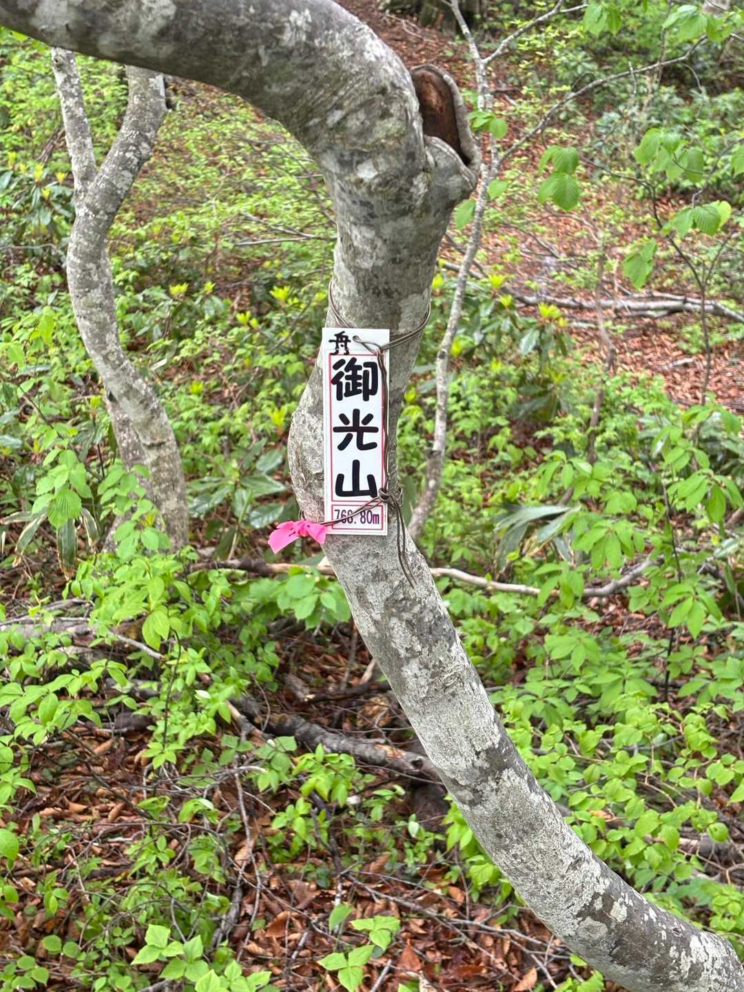 陶石山-舟御光山- 志ゆう谷の頭-上新保峠 周回コースの写真