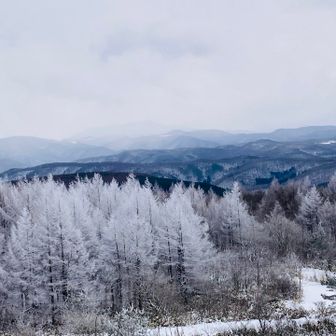 今年最後に、ありがとう✨