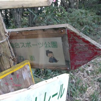 スポーツ公園への案内板