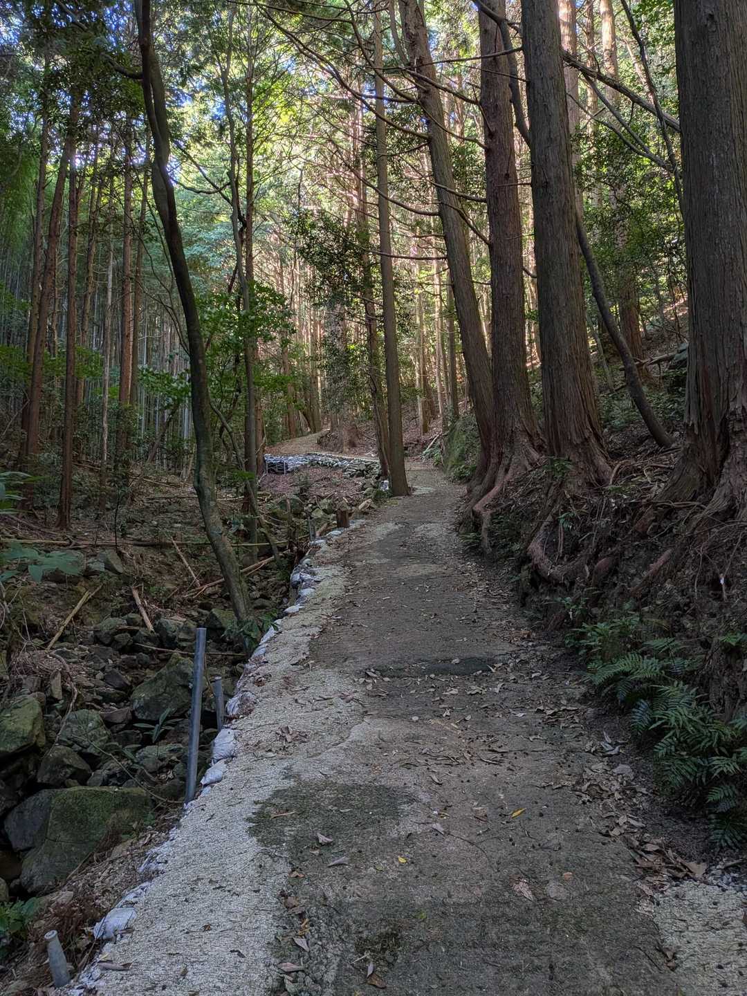 しばらく山に登ってないので😮‍💨急坂は苦しい