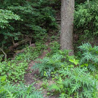 登山道入り口