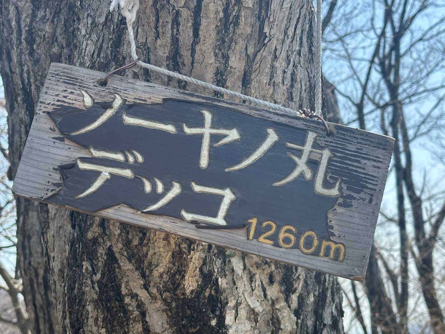面白い名前🤣